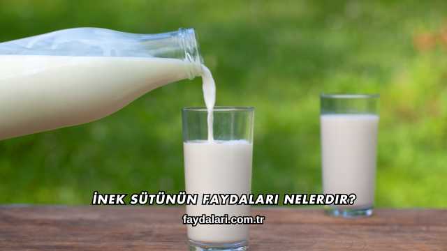 İnek Sütünün Faydaları Nelerdir?