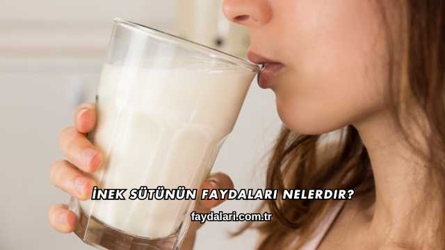 İnek Sütünün Faydaları Nelerdir?