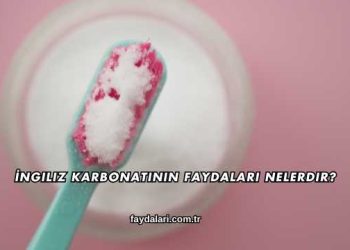 İngiliz Karbonatının Faydaları Nelerdir?