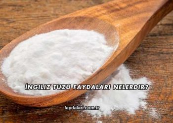 İngiliz Tuzu Faydaları Nelerdir?