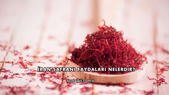 İran Safranı Faydaları Nelerdir?