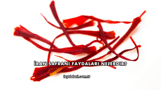 İran Safranı Faydaları Nelerdir?