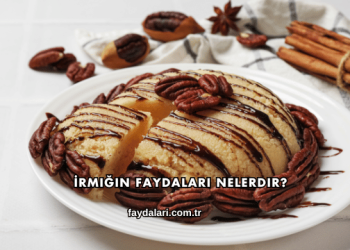 İrmiğin Faydaları Nelerdir?