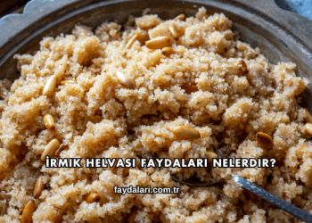 İrmik Helvası Faydaları Nelerdir?