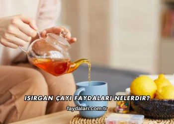Isırgan Çayı Faydaları Nelerdir?