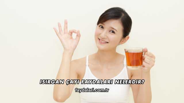 Isırgan Çayı Faydaları Nelerdir?