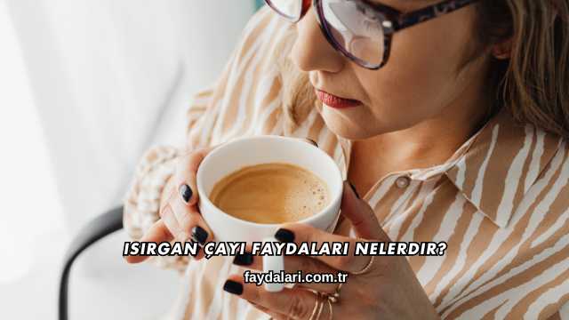 Isırgan Çayı Faydaları Nelerdir?