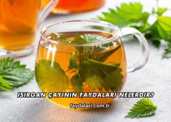 Isırgan Çayının Faydaları Nelerdir?