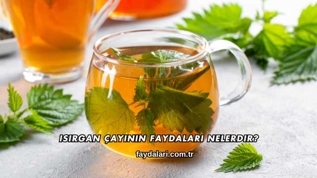 Isırgan Çayının Faydaları Nelerdir?