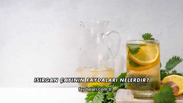 Isırgan Çayının Faydaları Nelerdir?