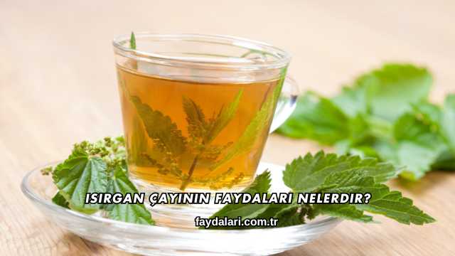 Isırgan Çayının Faydaları Nelerdir?