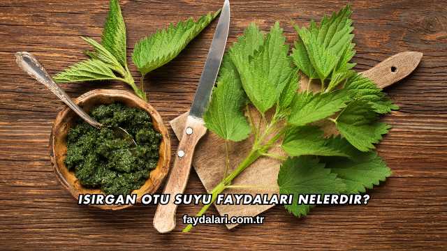 Isırgan Otu Suyu Faydaları Nelerdir?