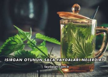 Isırgan Otunun Saça Faydaları Nelerdir?