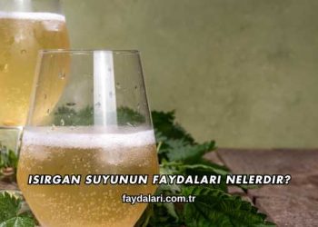 Isırgan Suyunun Faydaları Nelerdir?