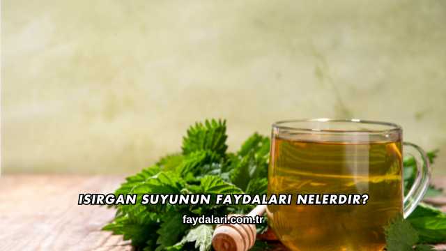 Isırgan Suyunun Faydaları Nelerdir?