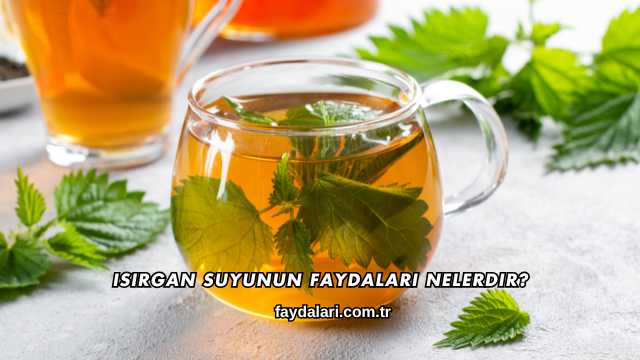 Isırgan Suyunun Faydaları Nelerdir?
