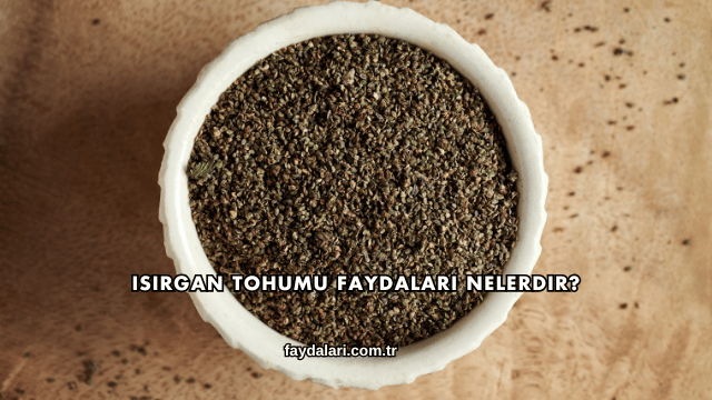 Isırgan Tohumu Faydaları Nelerdir?