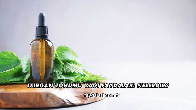 Isırgan Tohumu Yağı Faydaları Nelerdir?