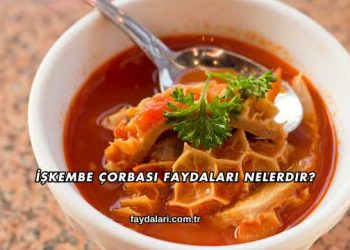 İşkembe Çorbası Faydaları Nelerdir?