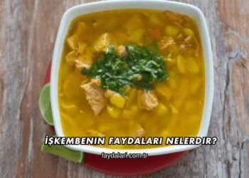 İşkembenin Faydaları Nelerdir?