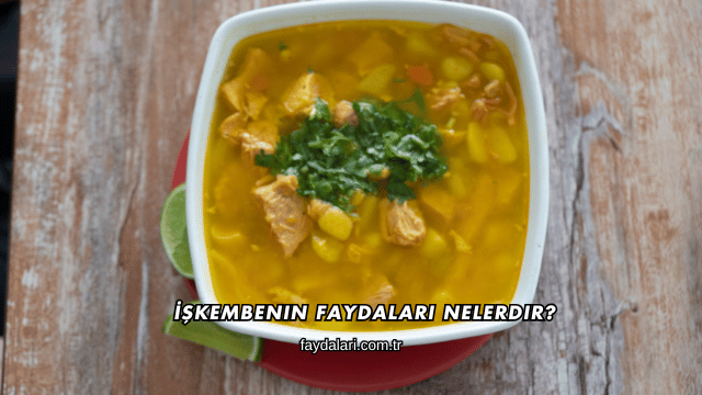 İşkembenin Faydaları Nelerdir?