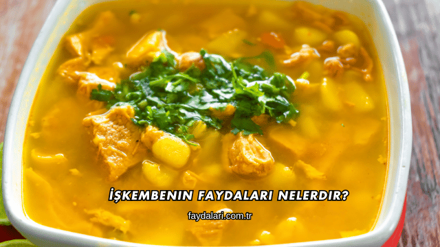 İşkembenin Faydaları Nelerdir?