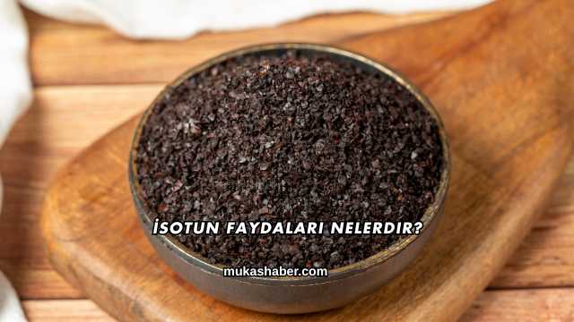 İsotun Faydaları Nelerdir?