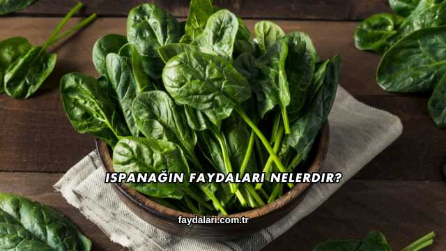 Ispanağın Faydaları Nelerdir?