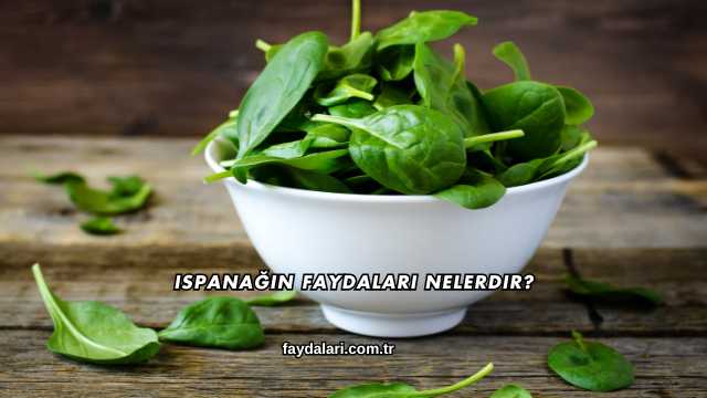Ispanağın Faydaları Nelerdir?