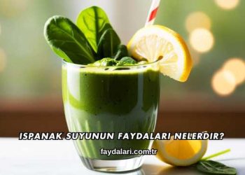 Ispanak Suyunun Faydaları Nelerdir?