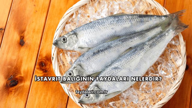 İstavrit Balığının Faydaları Nelerdir?