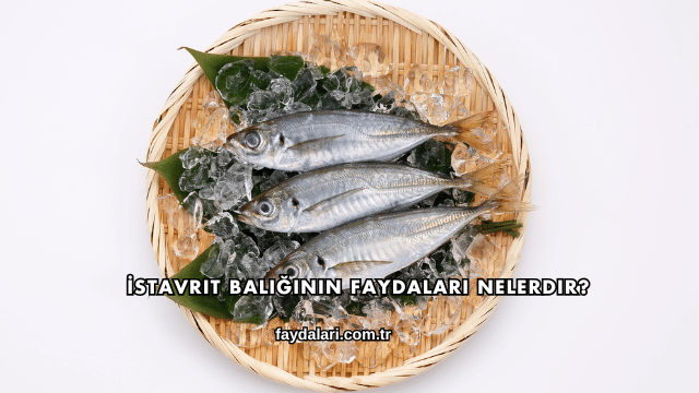 İstavrit Balığının Faydaları Nelerdir?