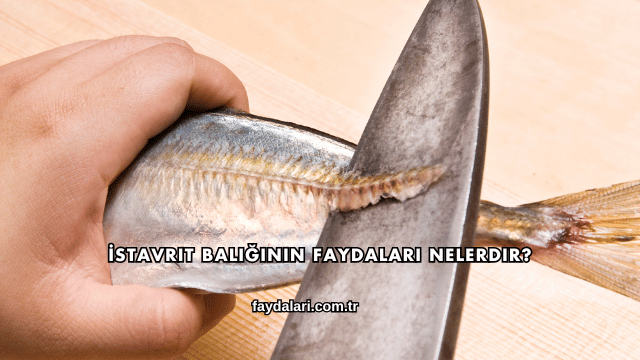 İstavrit Balığının Faydaları Nelerdir?