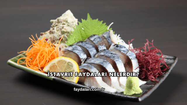 İstavrit Faydaları Nelerdir?