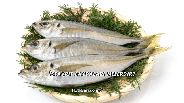 İstavrit Faydaları Nelerdir?