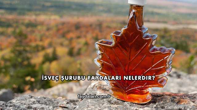 İsveç Şurubu Faydaları Nelerdir?