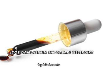 İyot Damlasının Faydaları Nelerdir?