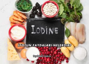 İyotun Faydaları Nelerdir?