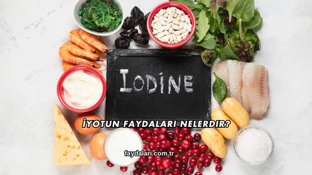 İyotun Faydaları Nelerdir?