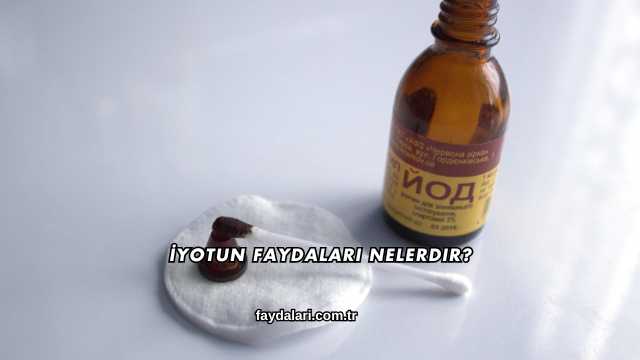 İyotun Faydaları Nelerdir?