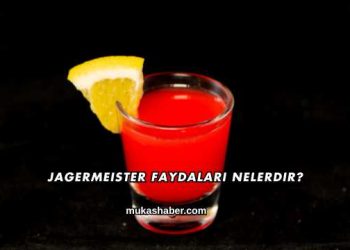 Jagermeister Faydaları Nelerdir?