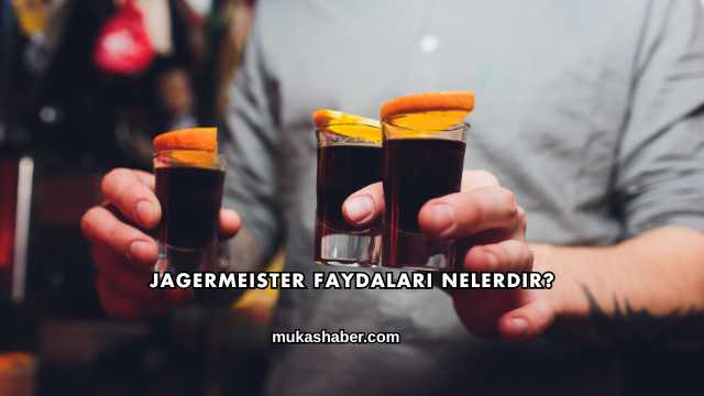 Jagermeister Faydaları Nelerdir?