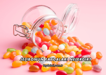 Jelibonun Faydaları Nelerdir?