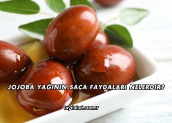 Jojoba Yağının Saça Faydaları Nelerdir?