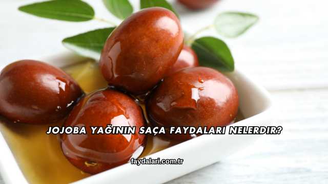 Jojoba Yağının Saça Faydaları Nelerdir?