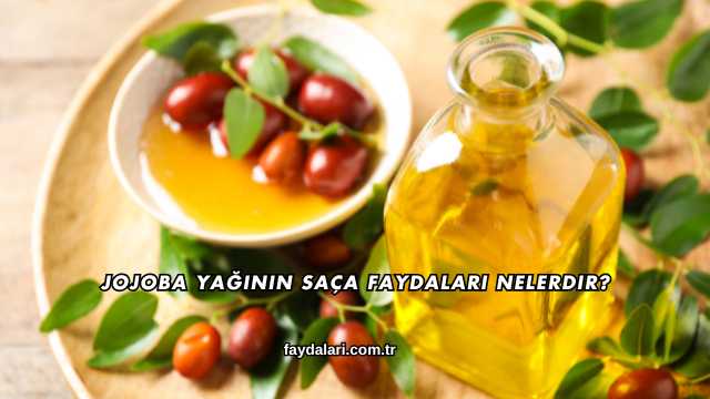 Jojoba Yağının Saça Faydaları Nelerdir?