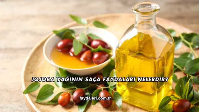 Jojoba Yağının Saça Faydaları Nelerdir?