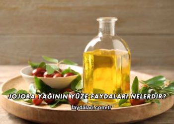 Jojoba Yağının Yüze Faydaları Nelerdir?
