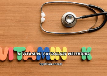 K Vitamini Faydaları Nelerdir?