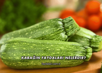 Kabağın Faydaları Nelerdir?